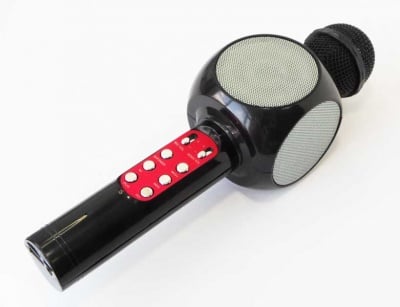 Безжичен микрофон WS1816 BT MP3  с тонколона