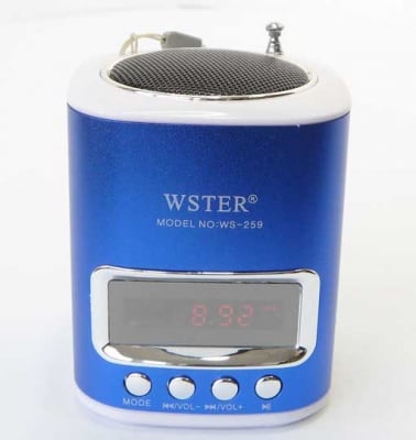 Тонколона WS259 FM MP3