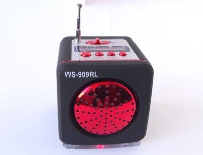 Тонколона WS909RL FM USB SD