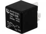 Реле 24V/80A RAYEX-01