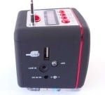 Тонколона WS909RL FM USB SD
